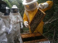 /album/galeria-de-fotos/p5210067-jpg/