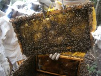 /album/galeria-de-fotos/p5210068-jpg/