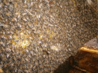 /album/galeria-de-fotos/p5210070-jpg/