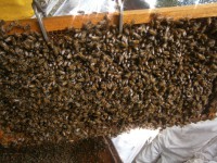 /album/galeria-de-fotos/p5220086-jpg/