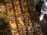 /album/galeria-de-fotos/p5220131-jpg/