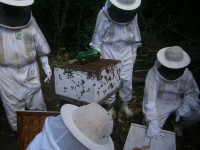 /album/galeria-de-fotos/p5220154-jpg/