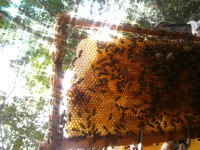 /album/galeria-de-fotos/p5230208-jpg/