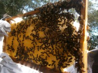 /album/galeria-de-fotos/p5230215-jpg/