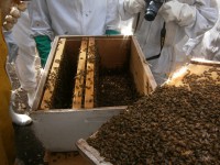 /album/galeria-de-fotos/p5230224-jpg/